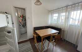 Apartament 1 camera, 38 mp, acces piscina, zona strazii Eftimie Murgu