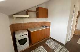 Apartament 1 camera, 38 mp, acces piscina, zona strazii Eftimie Murgu