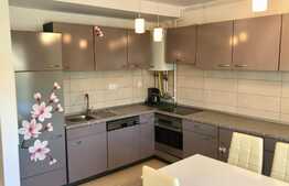 Apartament 2 camere, pet friendly, 2 balcoane, zona Tineretului!