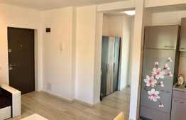 Apartament 2 camere, pet friendly, 2 balcoane, zona Tineretului!