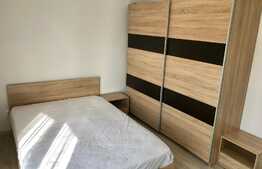 Apartament 2 camere, pet friendly, 2 balcoane, zona Tineretului!