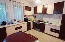 Casa cu 5 camere, garaj si 510 mp de teren, zona Tauti