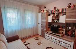 Casa cu 5 camere, garaj si 510 mp de teren, zona Tauti