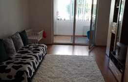 Exclusivitate ! Apartament decomandat, 2 camere, terasa, mobilat, Zona Porii 