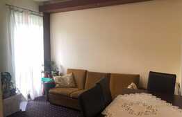 Exclusiv! Apartament 3 camere, 53 mp, compartimentare practica, zona Muzeul Apei! 