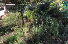 PRET AVANTAJOS ! Casa cuplata de vanzare , 135 mp , 4 camere, garaj, Zona Florilor 