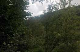 Teren de vanzare cu iesire la lac, 6000 mp, posibilitate parcelare, pretabil pentru cabane de vacanta, Tarnita  