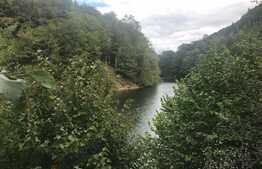 Teren de vanzare cu iesire la lac, 6000 mp, posibilitate parcelare, pretabil pentru cabane de vacanta, Tarnita  