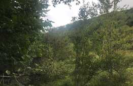 Teren de vanzare cu iesire la lac, 6000 mp, posibilitate parcelare, pretabil pentru cabane de vacanta, Tarnita  