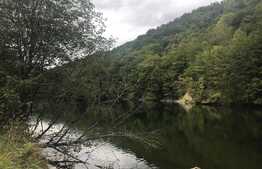 Teren de vanzare cu iesire la lac, 6000 mp, posibilitate parcelare, pretabil pentru cabane de vacanta, Tarnita  