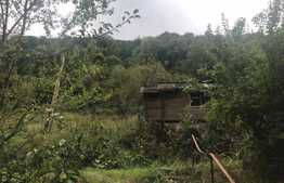 Teren de vanzare cu iesire la lac, 6000 mp, posibilitate parcelare, pretabil pentru cabane de vacanta, Tarnita  