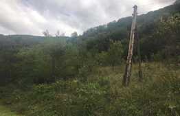 Teren de vanzare cu iesire la lac, 6000 mp, posibilitate parcelare, pretabil pentru cabane de vacanta, Tarnita  