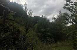 Teren de vanzare cu iesire la lac, 6000 mp, posibilitate parcelare, pretabil pentru cabane de vacanta, Tarnita  