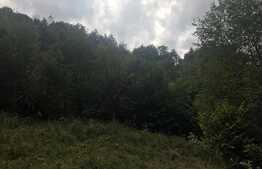 Teren de vanzare cu iesire la lac, 6000 mp, posibilitate parcelare, pretabil pentru cabane de vacanta, Tarnita  