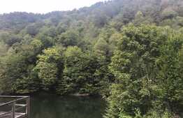 Teren de vanzare cu iesire la lac, 6000 mp, posibilitate parcelare, pretabil pentru cabane de vacanta, Tarnita  