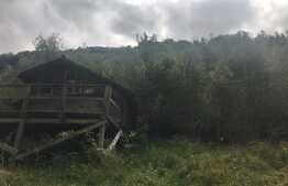 Teren de vanzare cu iesire la lac, 6000 mp, posibilitate parcelare, pretabil pentru cabane de vacanta, Tarnita  