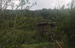 Teren de vanzare cu iesire la lac, 6000 mp, posibilitate parcelare, pretabil pentru cabane de vacanta, Tarnita  