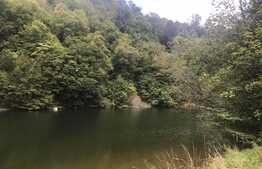 Teren de vanzare cu iesire la lac, 6000 mp, posibilitate parcelare, pretabil pentru cabane de vacanta, Tarnita  