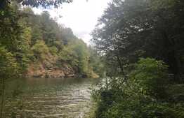 Teren de vanzare cu iesire la lac, 6000 mp, posibilitate parcelare, pretabil pentru cabane de vacanta, Tarnita  