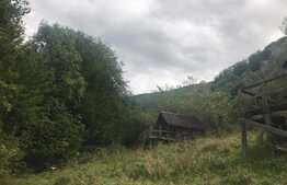 Teren de vanzare cu iesire la lac, 6000 mp, posibilitate parcelare, pretabil pentru cabane de vacanta, Tarnita  