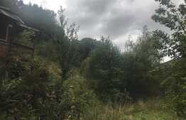 Teren de vanzare cu iesire la lac, 6000 mp, posibilitate parcelare, pretabil pentru cabane de vacanta, Tarnita  