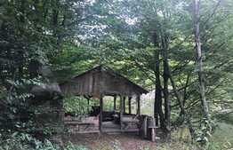 Teren de vanzare cu iesire la lac, 6000 mp, posibilitate parcelare, pretabil pentru cabane de vacanta, Tarnita  