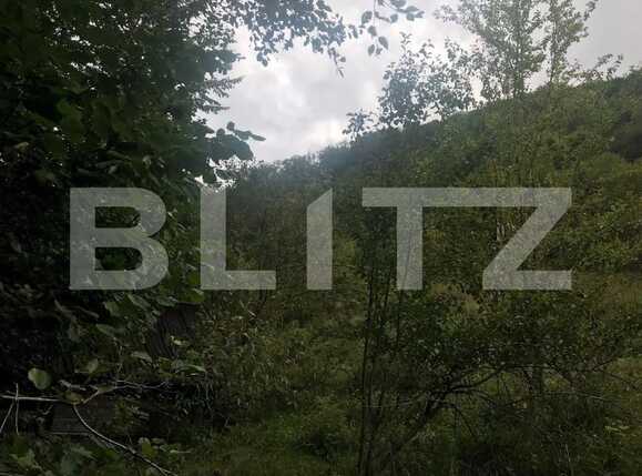 Teren de vânzare Exterior Vest - 41234TV | BLITZ Cluj-Napoca | Poza16