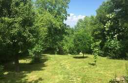 De vanzare casa individuala PREMIUM 130 mp, teren 1500 mp, sat Gheorgheni!