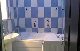 Cauti un apartament pet friendly, cu gradina aproape de Iulius Mall?