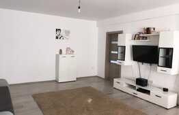 Apartament 3 camere, recent mobilat, imobil nou, strada Stejarului