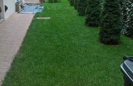 Birou Ultracentral 20mp 