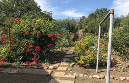  Casa individuala, 312 mp, teren 1445 mp, garaj, zona linistita de case