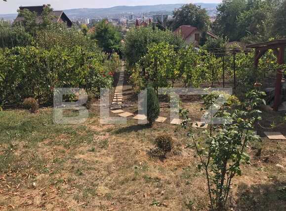 Casa de vânzare 8 camere Dambul Rotund - 41328CV | BLITZ Cluj-Napoca | Poza7