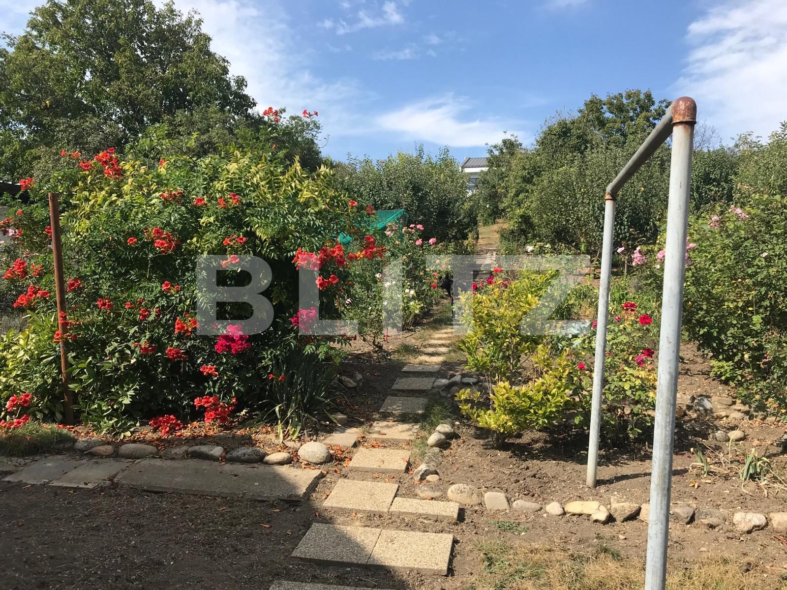 Casa de vânzare 8 camere Dambul Rotund - 41328CV | BLITZ Cluj-Napoca | Poza5