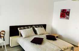 Apartament de lux, 1 camera, 44 mp, zona Iulius Mall