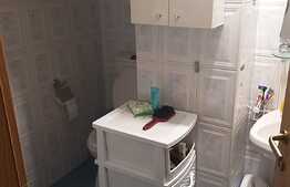 Apartament 2 camere, 45 mp, etaj intermediar, zona strazii Bucuresti