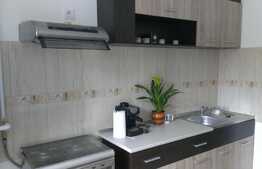 Apartament cu o camera, modern, 44 mp, zona Oncos