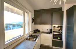 Penthouse ultrafinisat, 88 mp, terasa 20 mp, 3 camere, priveliste! 