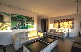 Penthouse ultrafinisat, 88 mp, terasa 20 mp, 3 camere, priveliste! 