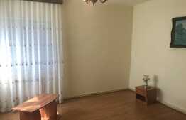 Apartament 1 camera, 50 mp, gradina, zona Traian Vuia