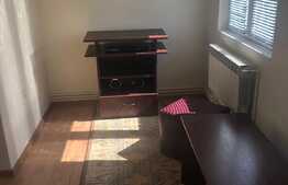 Apartament 1 camera, 50 mp, gradina, zona Traian Vuia