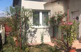 Apartament 1 camera, 50 mp, gradina, zona Traian Vuia