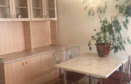 Apartament 1 camera, 50 mp, gradina, zona Traian Vuia