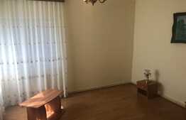 Apartament 1 camera, 50 mp, gradina, zona Traian Vuia