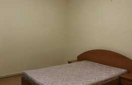 Apartament 1 camera, 50 mp, gradina, zona Traian Vuia