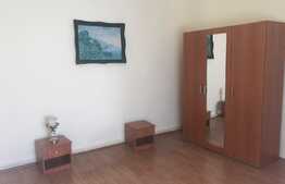 Apartament 1 camera, 50 mp, gradina, zona Traian Vuia
