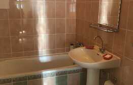 Apartament 1 camera, 50 mp, gradina, zona Traian Vuia