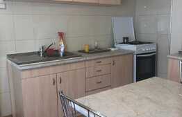 Apartament 1 camera, 50 mp, gradina, zona Traian Vuia