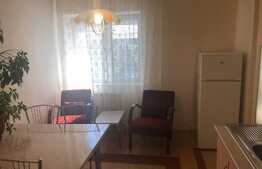 Apartament 1 camera, 50 mp, gradina, zona Traian Vuia