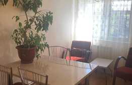 Apartament 1 camera, 50 mp, gradina, zona Traian Vuia